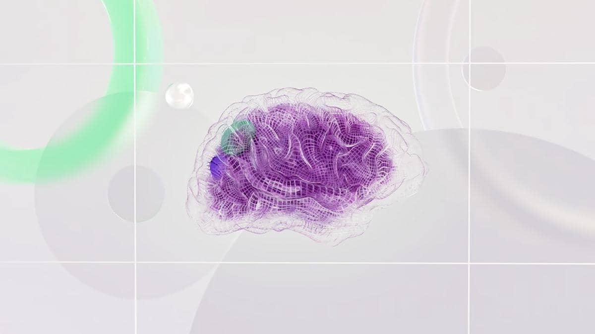 Otak Adalah Organ Paling Banyak Konsumsi Energi, kok Bisa?