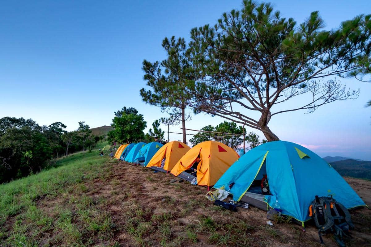 ilustrasi camping berkelompok