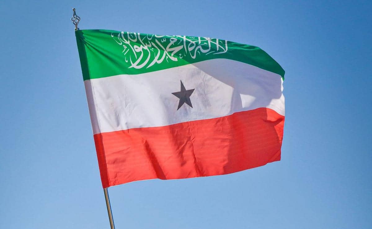 ilustrasi bendera Somaliland