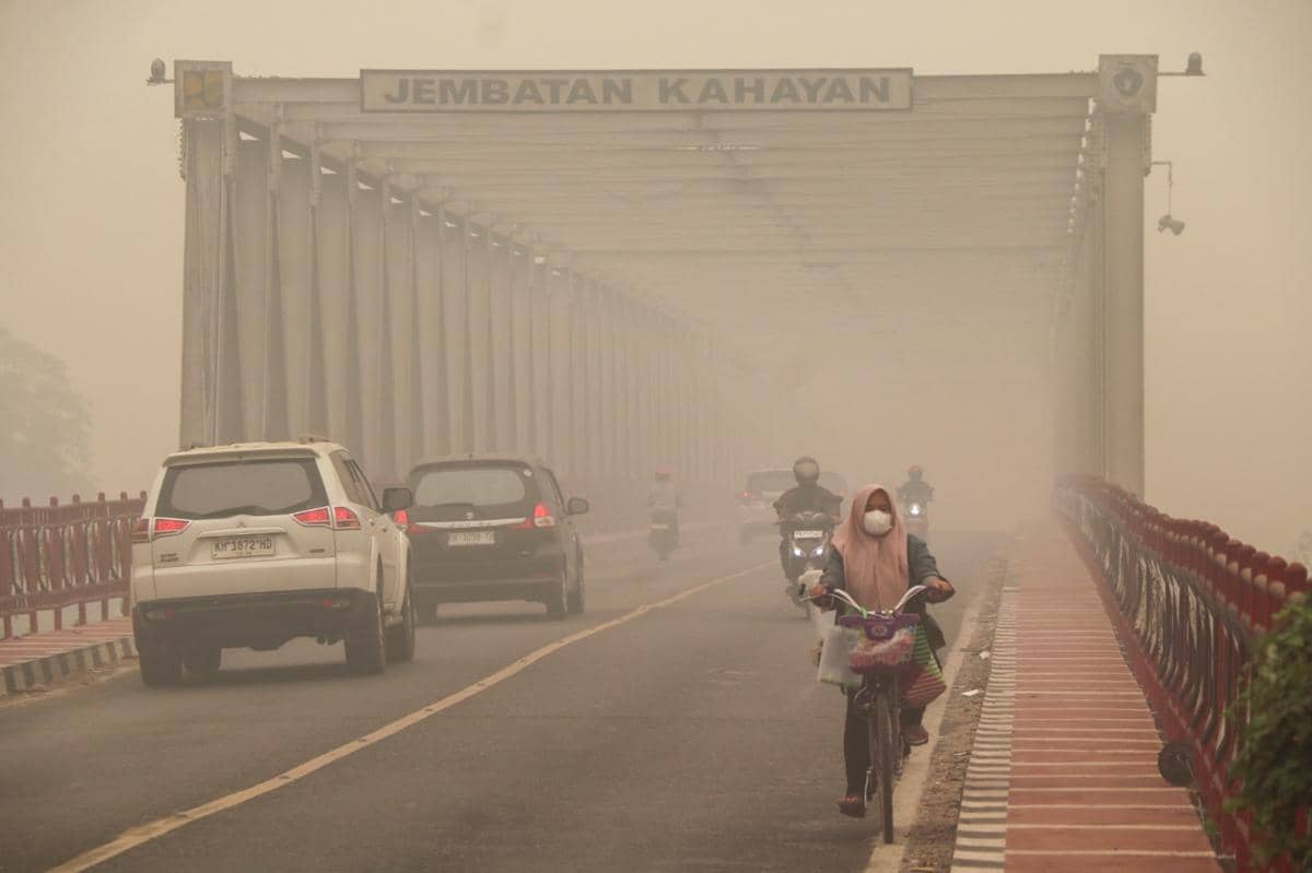 Pemerintah Kerahkan 160 Pasukan dan 30 Subur Bor Atasi Karhutla Tanjung Puting