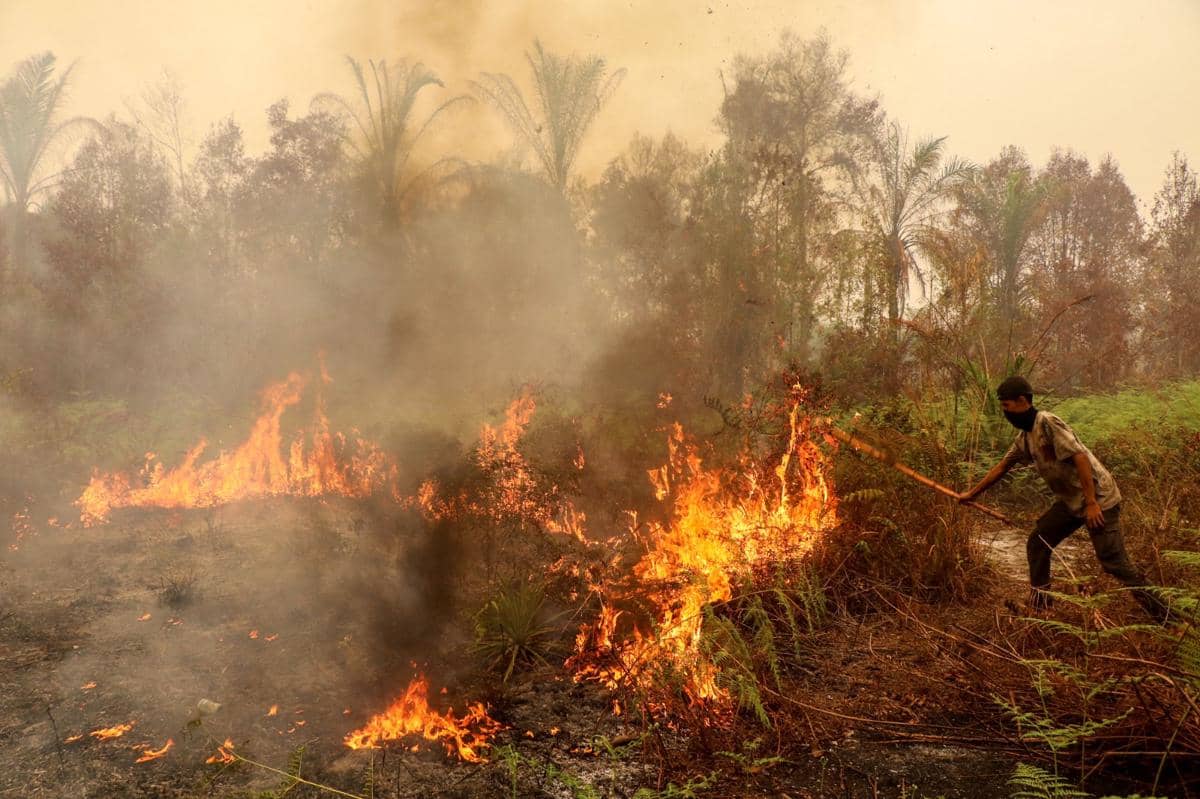 Seorang pria menggunakan sebatang kayu dalam upaya memadamkan kebakaran lahan di kawasan Bukit Batu, Palangkaraya, Provinsi Kalimantan Tenga