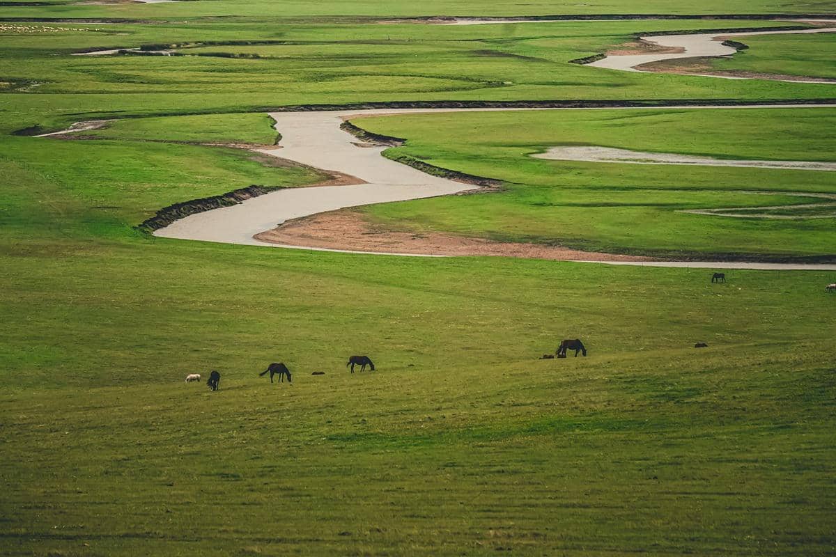 ilustrasi Taman Nasional Gorkhi Terelj, Mongolia