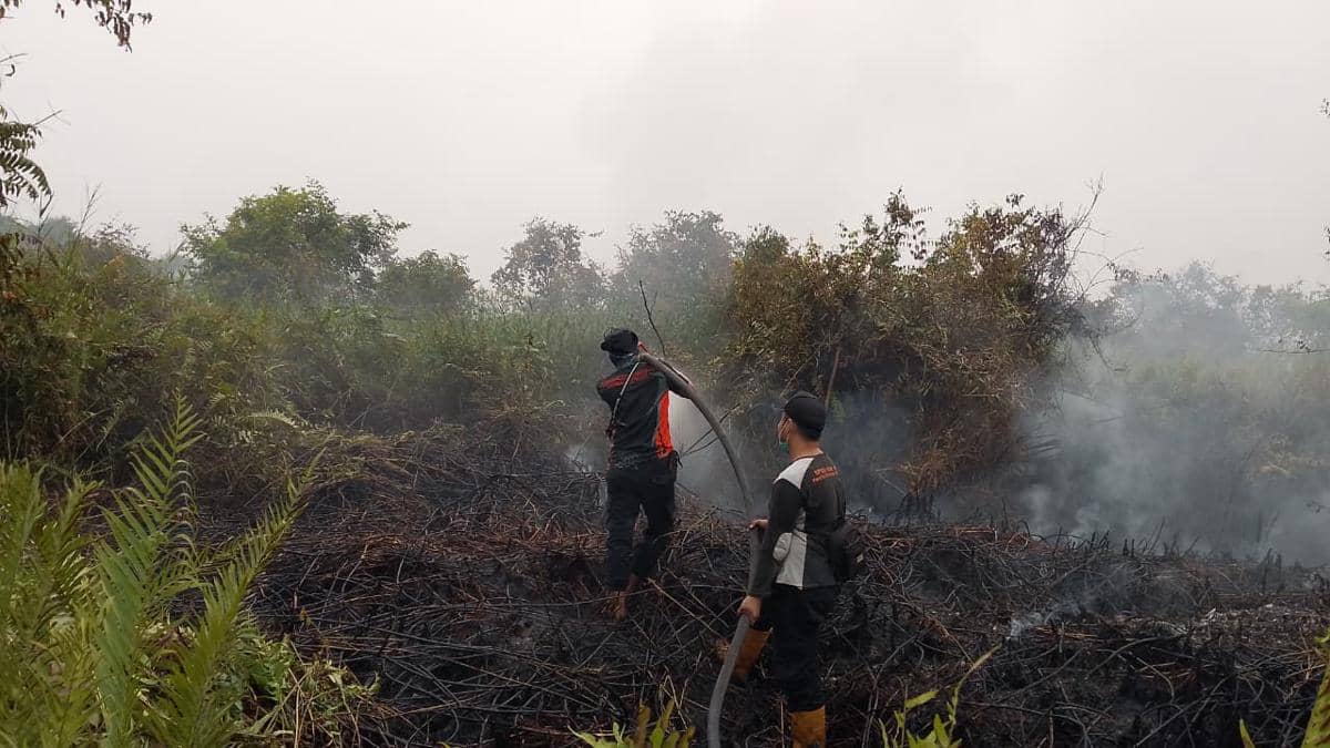 Sekayu Dikepung Karhutla, Api Berjarak 100 Meter dari Perumahan