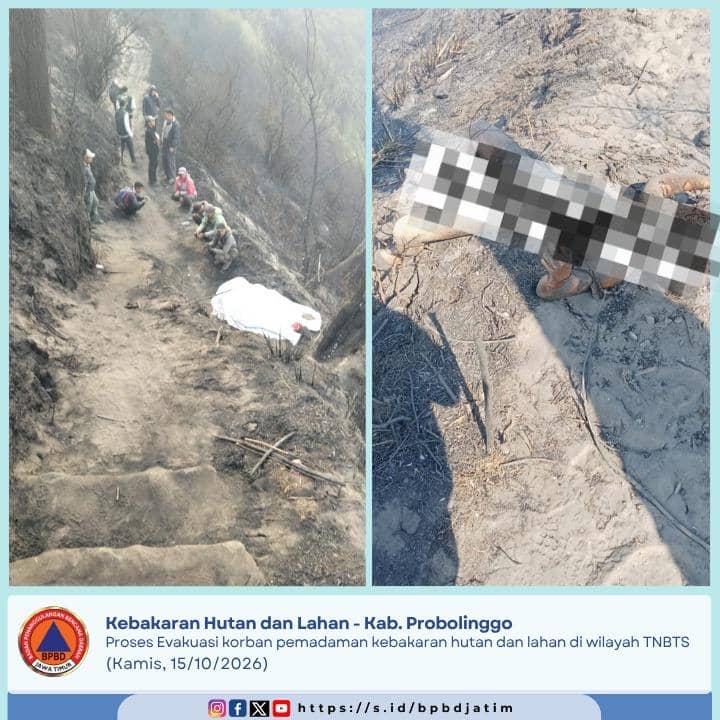 Mencekam! Karhutla di TNBTS Probolinggo Telan 3 Nyawa