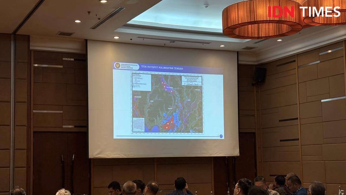 Kemenko Pangan Libatkan 500 Perusahaan Tangani Karhutla di Kalteng, Kamis (15/10/2026) (IDN Times/Cantika Lutfiah)