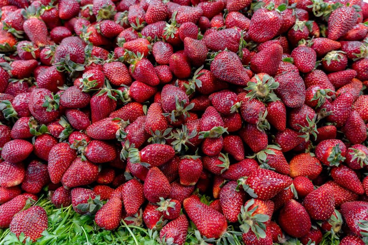 Buah stroberi