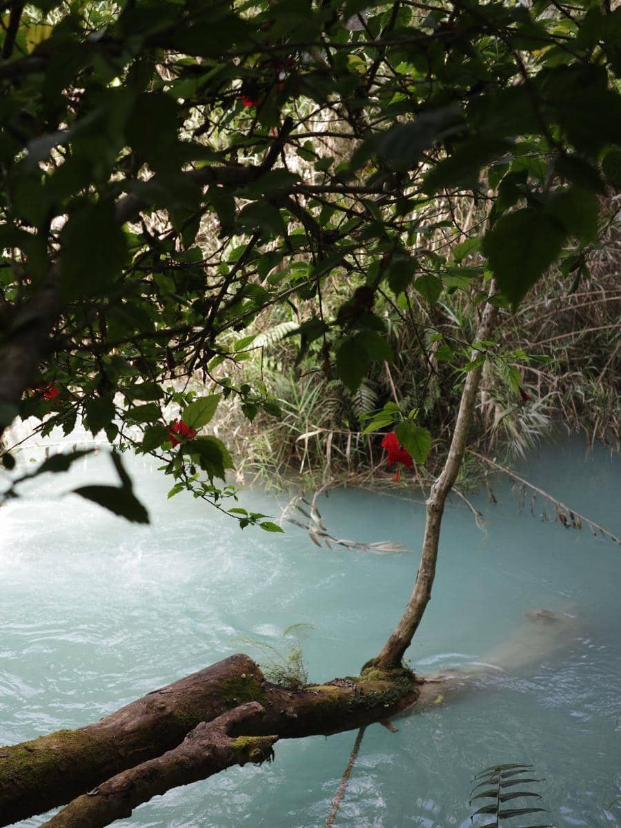 Tatjana Saphira menikmati keindahan Air Terjun Kuang Si di Laos