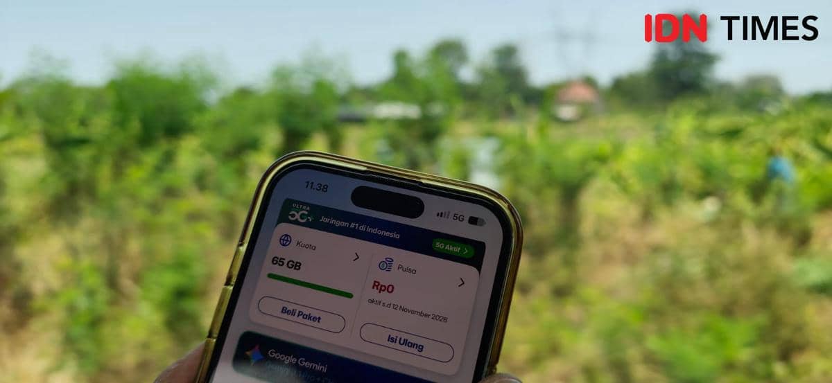 Trafik Internet Jogja–Solo Naik 17 Persen, Pertumbuhan Tertinggi di Sleman