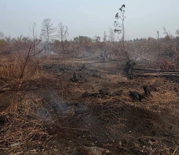 Raisya Bawazier tinjau langsung kebakaran hutan di Kalimantan Selatan