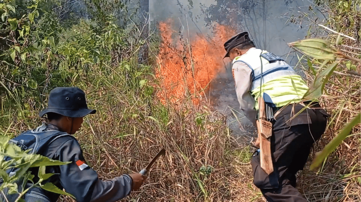 Kebakaran Hutan Gunung Lawu Meluas 10 Hektare, Api Dipadamkan Manual