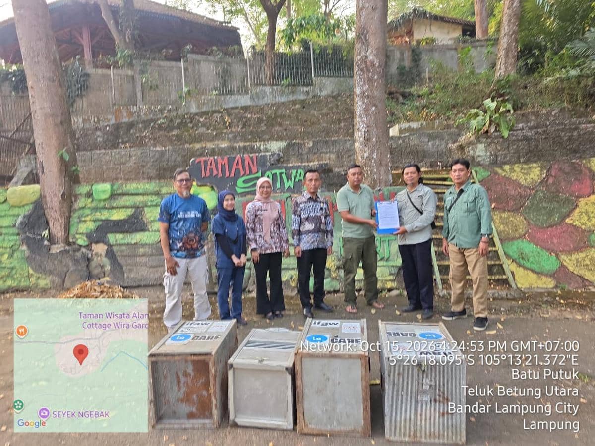 Petugas KSDA Wilayah III Lampung mengevakuasi satwa di Lembaga Konservasi (LK) Taman Satwa Bumi Kedaton Resort
