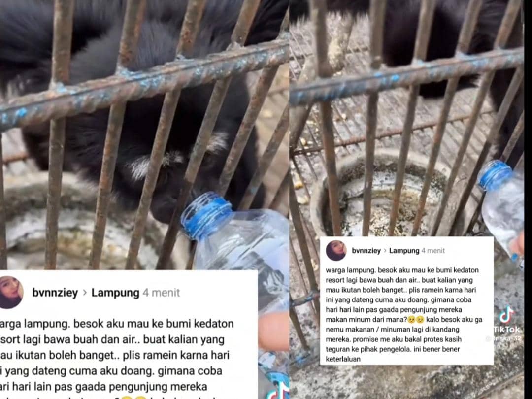 Viral Satwa di Bumi Kedaton Diduga Kelaparan, Manajemen Buka Suara