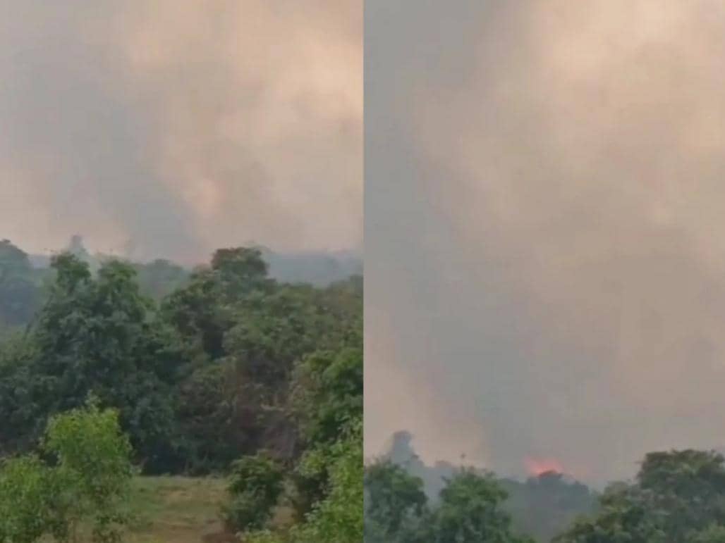 Paparan asap karhutla melalap Taman Nasional Way Kambas memasuki permukiman warga Desa Tegal Yoso, Kecamatan Purbolinggo, Kabupaten Lampung Timur.