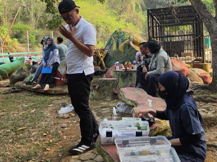 Petugas KSDA Wilayah III Lampung mengevakuasi satwa di Lembaga Konservasi (LK) Taman Satwa Bumi Kedaton Resort