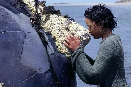 adegan dalam film Whale Rider