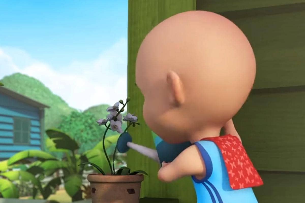 tanaman bunga anggrek Kak Ros dalam Upin & Ipin