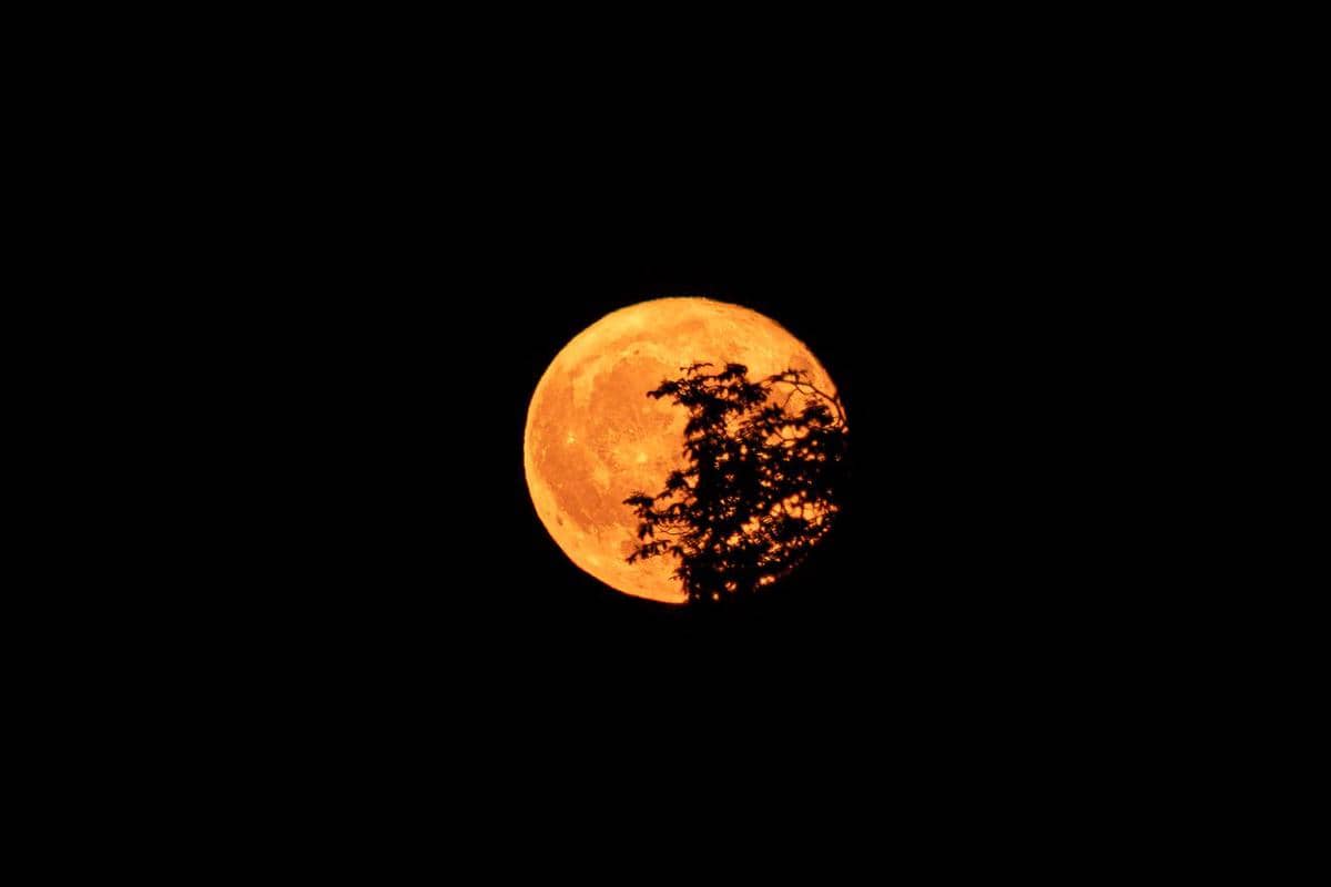 5 Fakta Hunters Moon, Fenomena Langit Oktober yang Memesona
