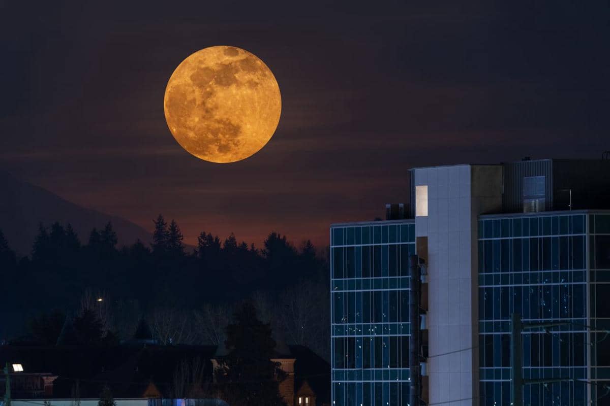 Ilustrasi Hunter's Moon.