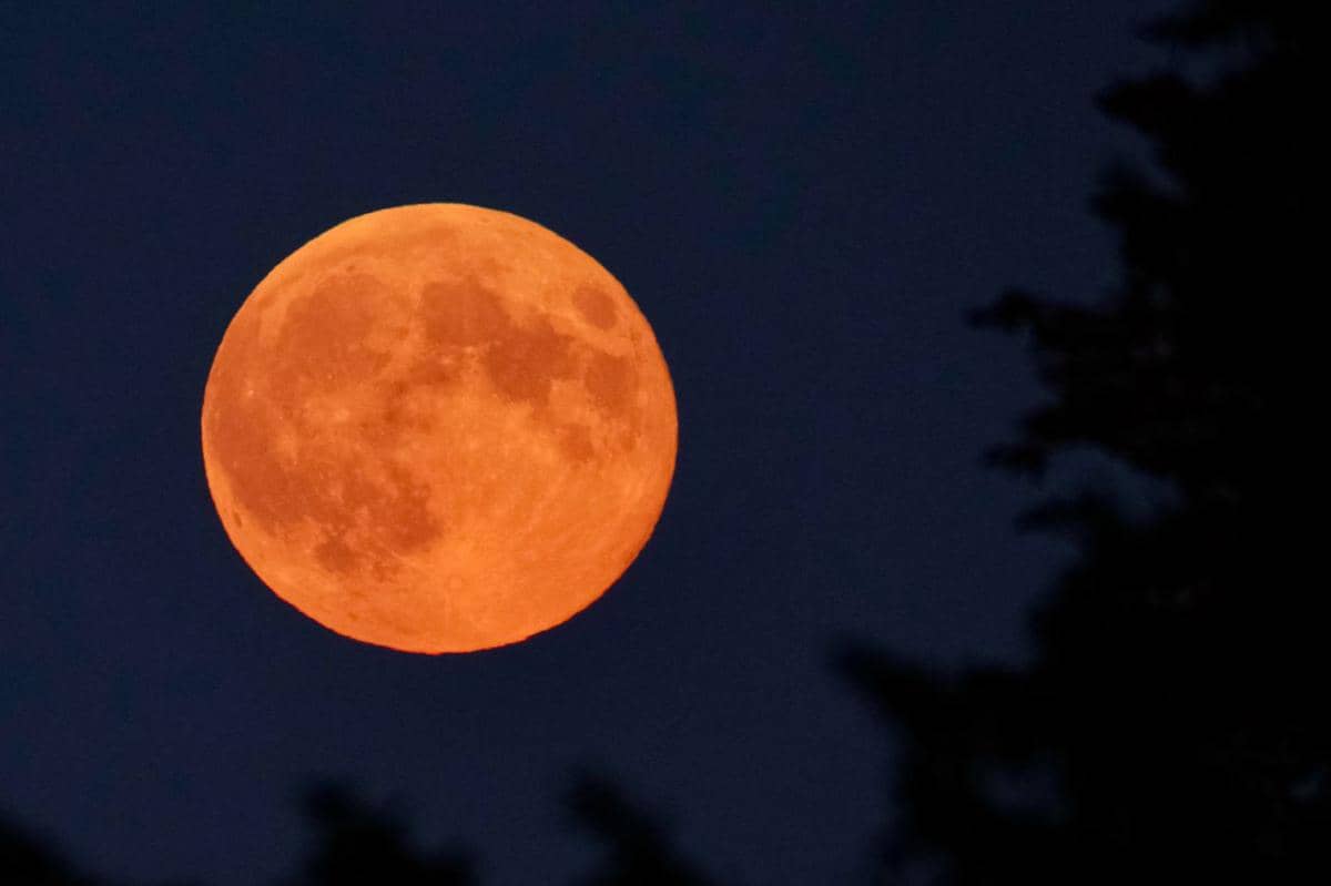 Fenomena Hunter's Moon pada 26 Oktober, Indah Tapi Waspada Air Laut Naik