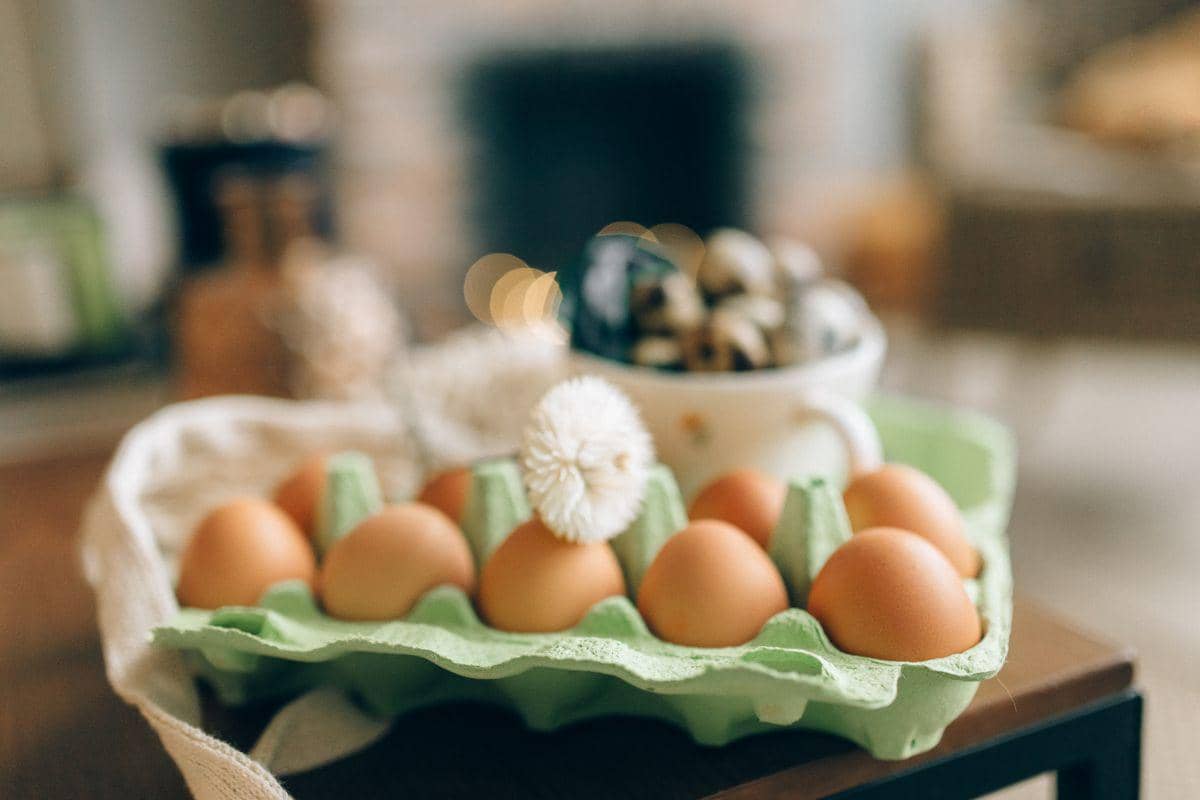 Telur Cage Free Lebih Mahal, Apa Bedanya dengan Telur Biasa?