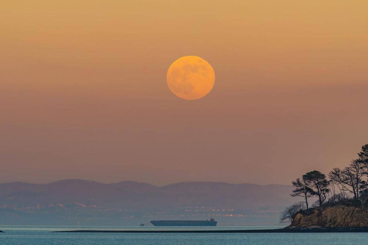 Ilustrasi Hunter's Moon.