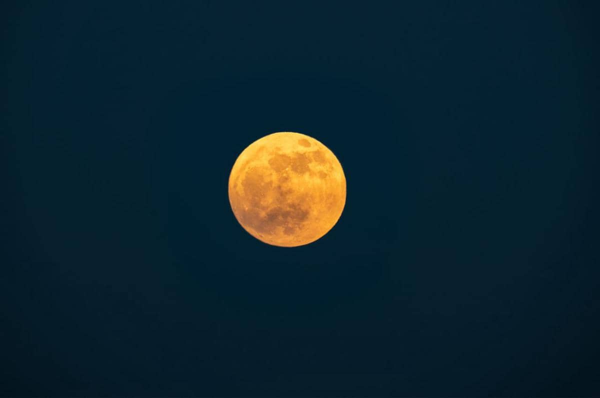 Ilustrasi Hunter's Moon.