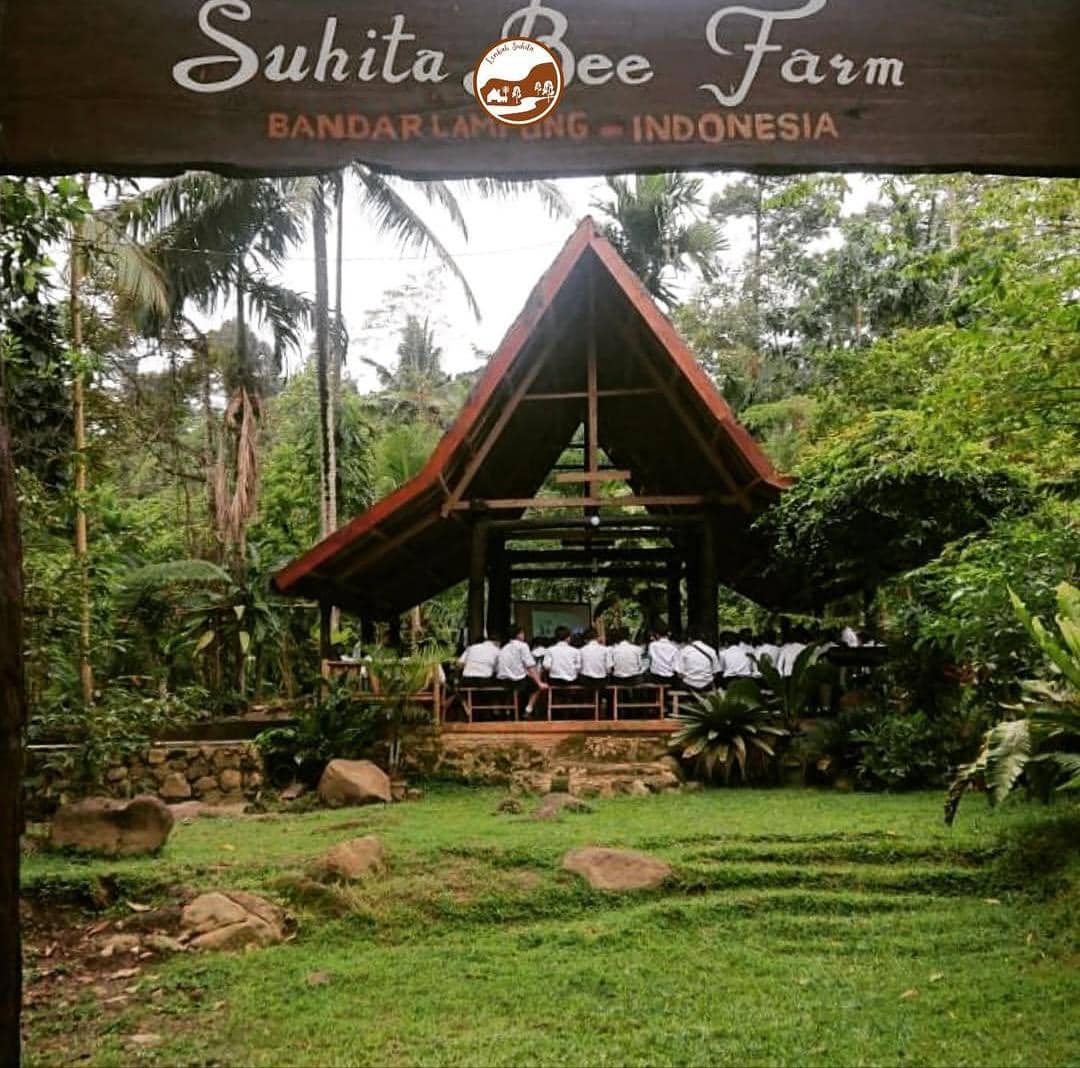 Lembah Suhita Lampung, Healing Bisa Main Air hingga Panen Madu