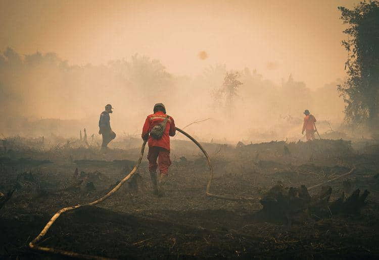 Atasi Karhutla Tanjung Puting, Menhut Intensifkan Water Bombing