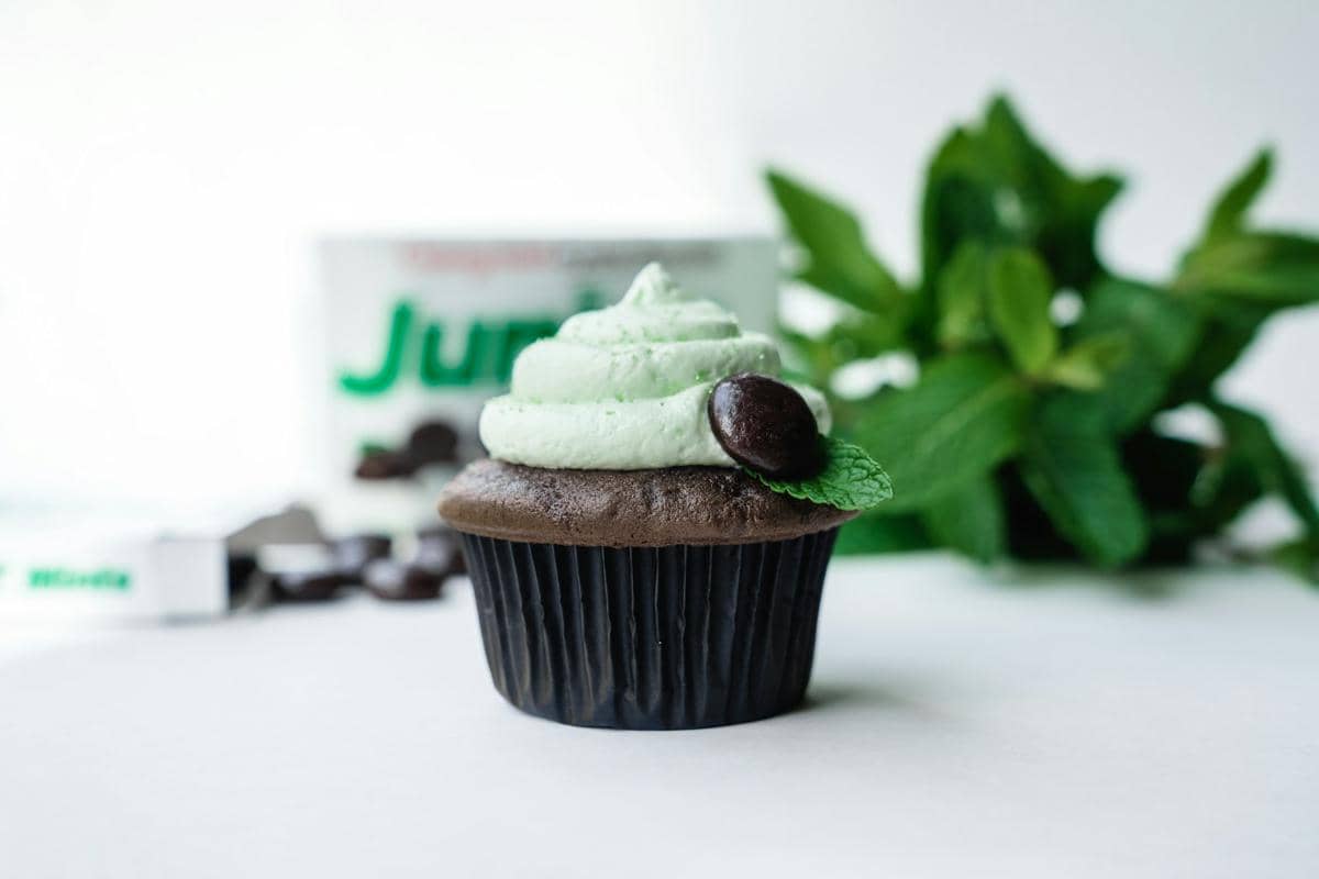 ilustrasi choco mint cup cake