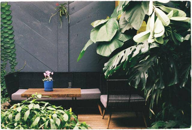 ilustrasi ruang hijau indoor