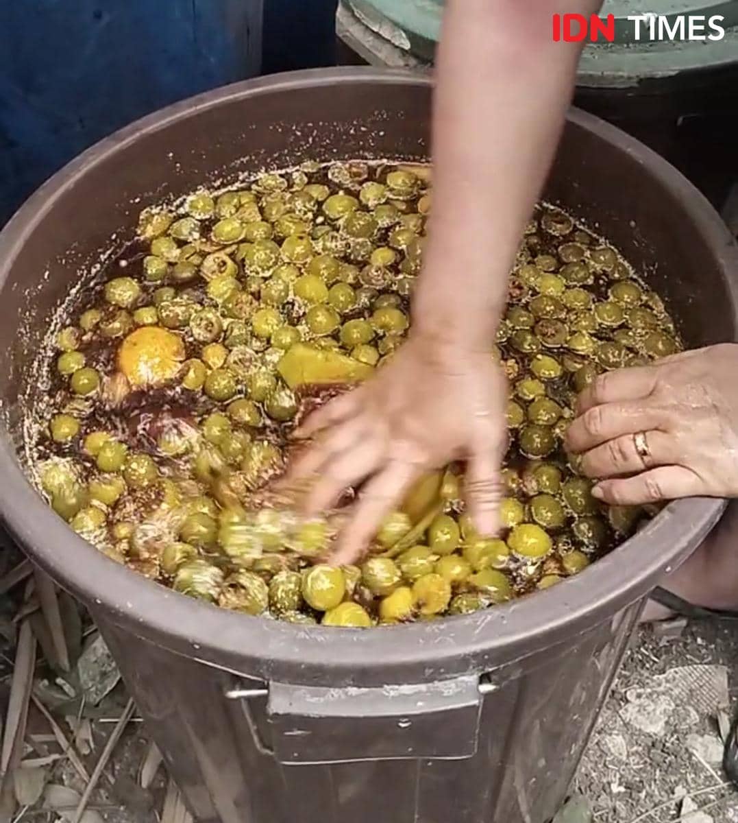 Menilik Proses Pembuatan Eco Enzyme di Palembang, Apa Manfaatnya?