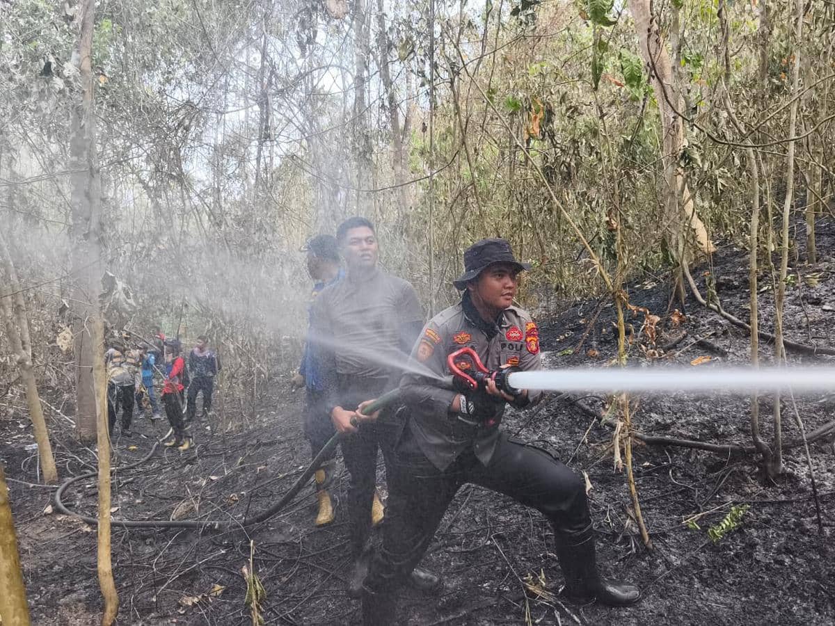 Karhutla Mengancam Kawasan IKN, Luasnya Diperkirakan 10 Hektare
