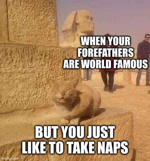 meme kucing tentang leluhur