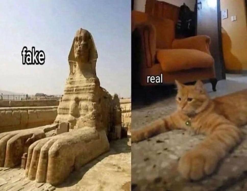 meme kucing tentang leluhur