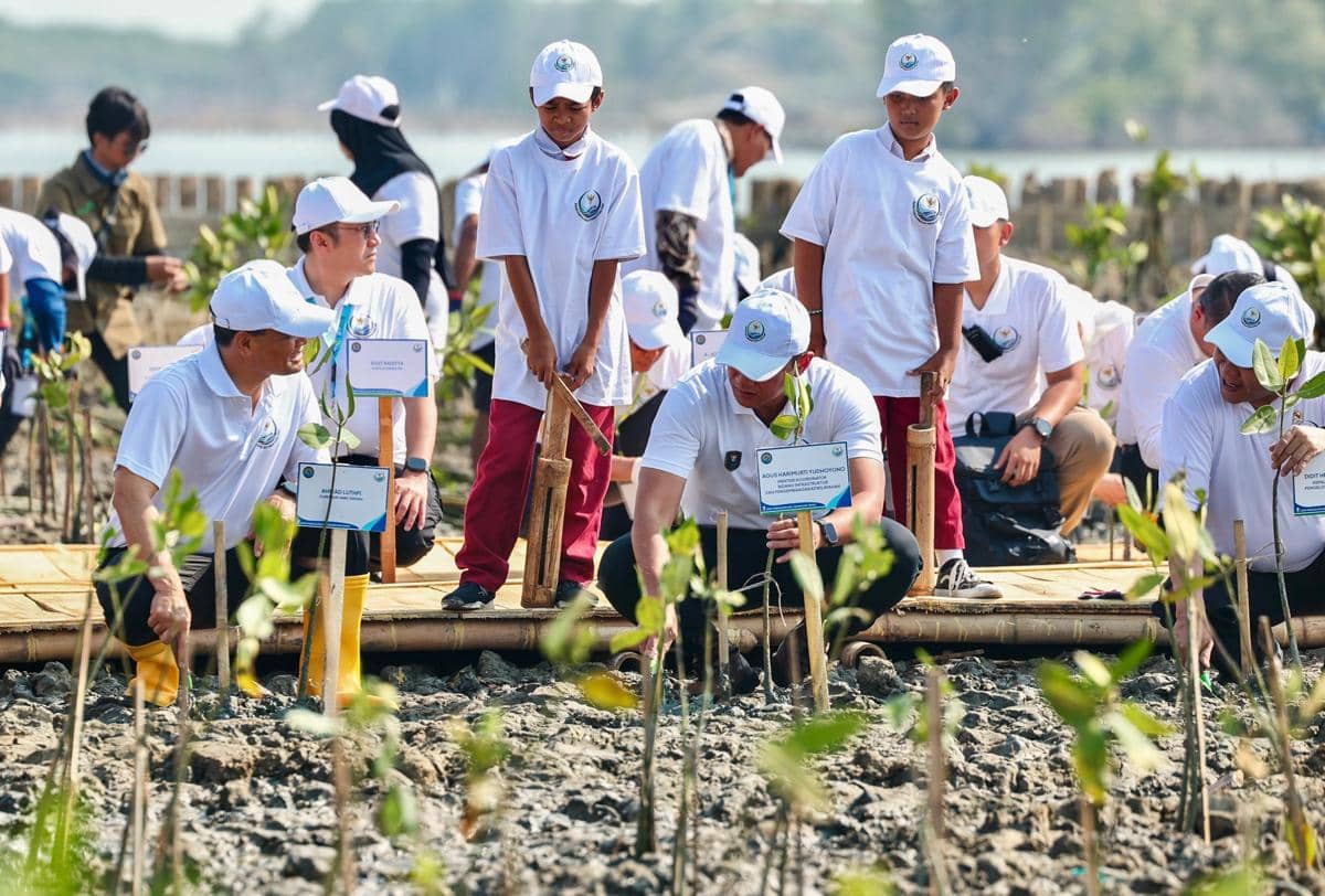 Ahmad Luthfi Akui Mangrove Timbulsloko Demak Ada yang Mati dan Hilang