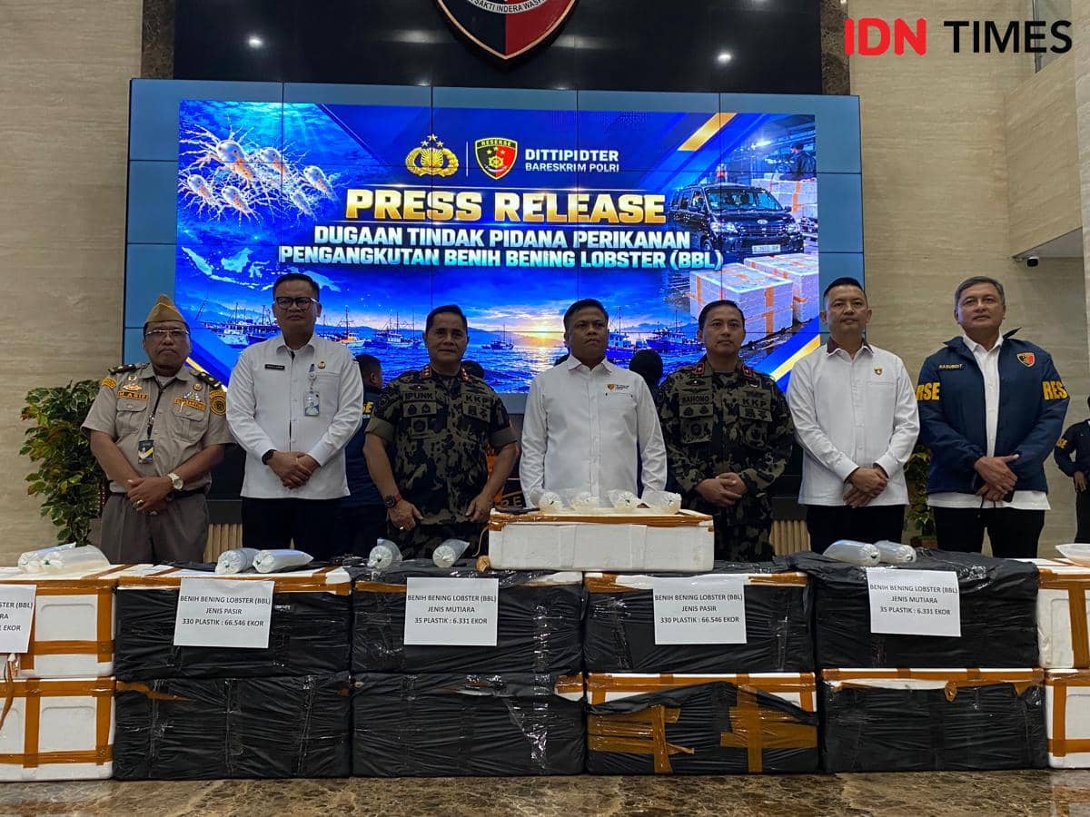 Bareskrim Gagalkan Penyelundupan 73 Ribu Benih Lobster ke Vietnam