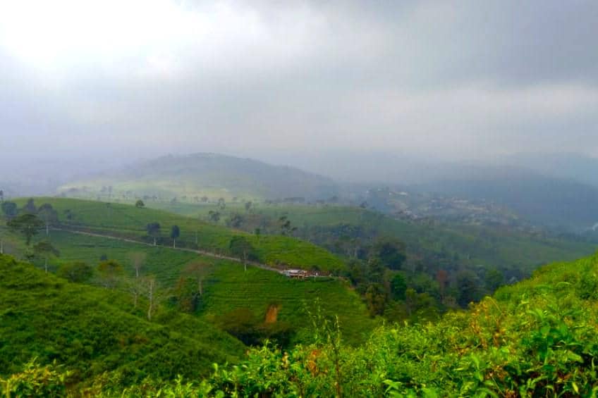 Cara ke Kebun Teh Kemuning Karangayar dari Solo Naik Bus