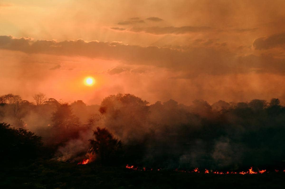 Langit Merah akibat Karhutla Bisa Bertahan Berapa Lama?