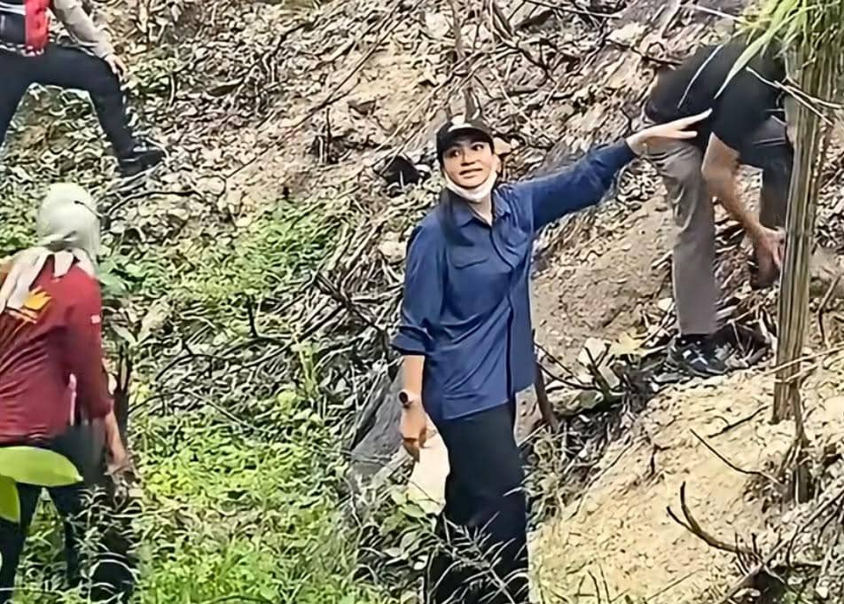 Lahan Bekas Karhutla di Dharmasraya Ditanami Sawit, Polisi Periksa 2 Saksi