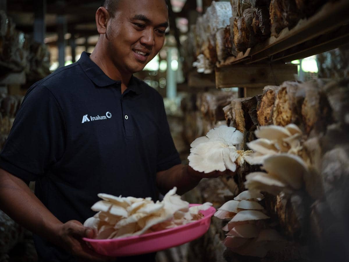 Angkat Potensi Sampah dan Budidaya Jamur, Inalum Raih 2 Gold ISDA 2026