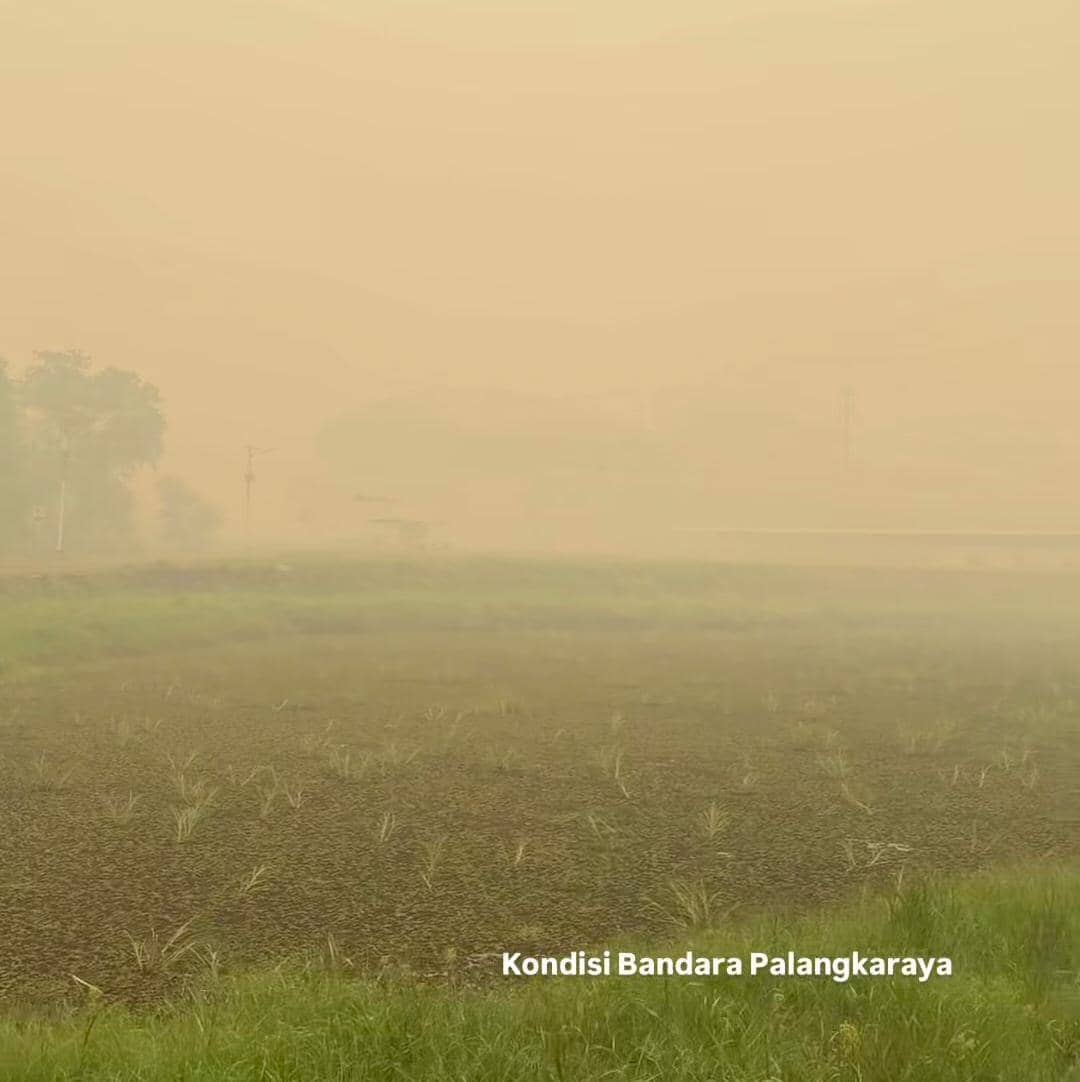 Riyuka Bunga day 1 jadi relawan karhutla di Palangka Raya, Kalteng