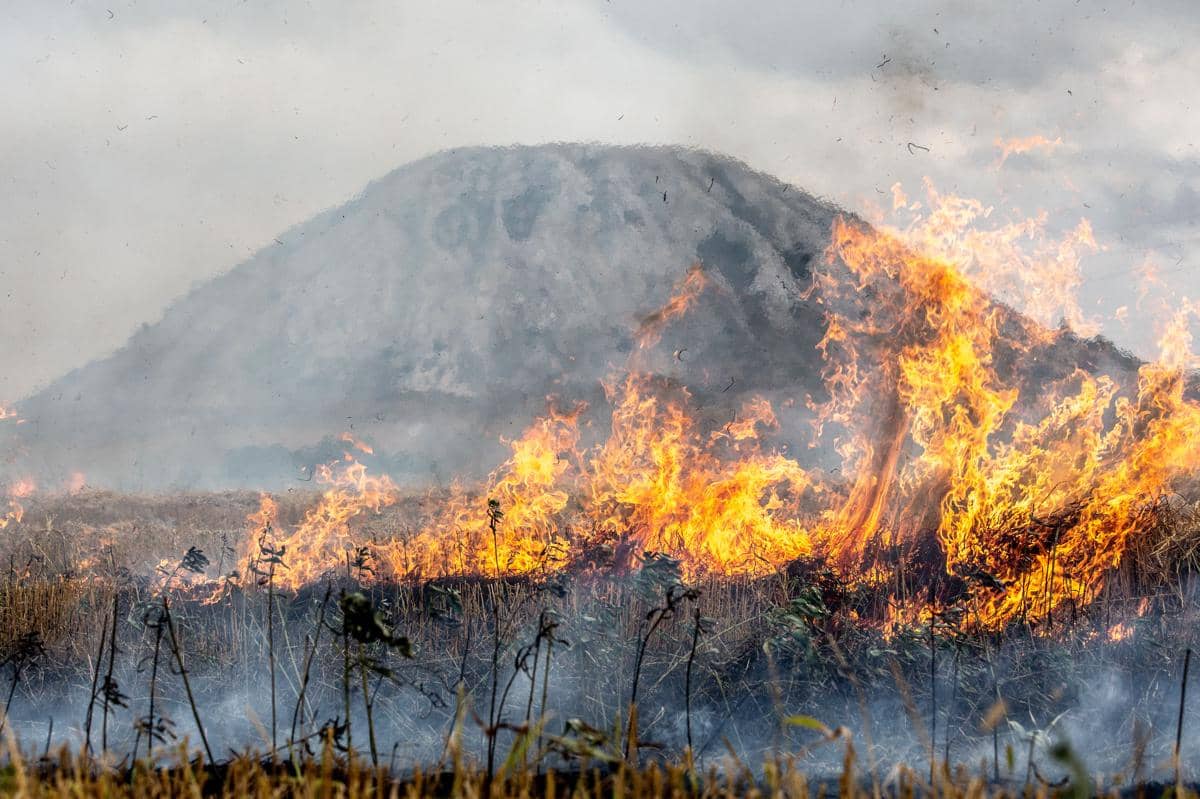 ilustrasi karhutla yang terjadi di sebuah gunung