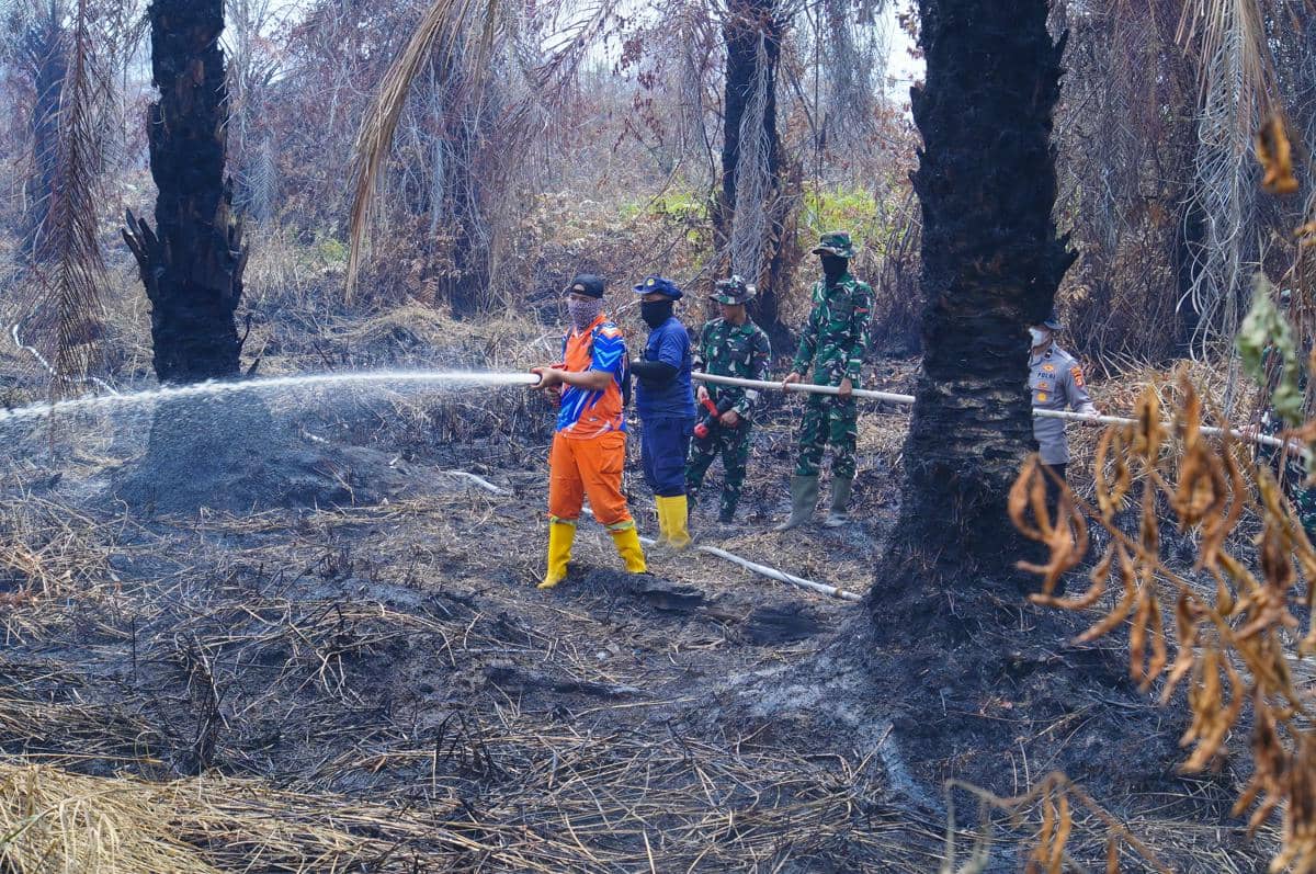 Bupati Muba bersama Forkopimda saat meninjau karhutla di Muara Medak.
