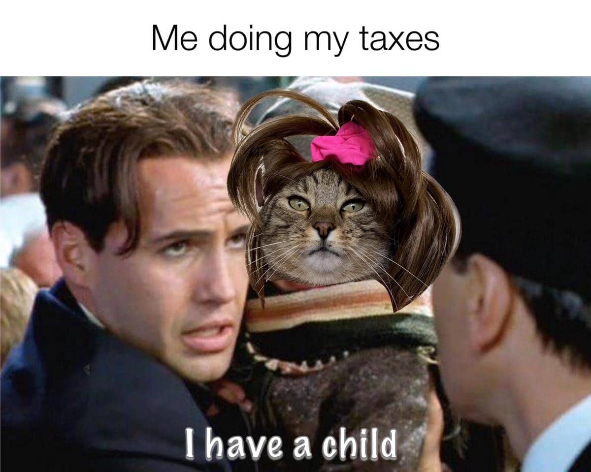 meme kucing tentang anak