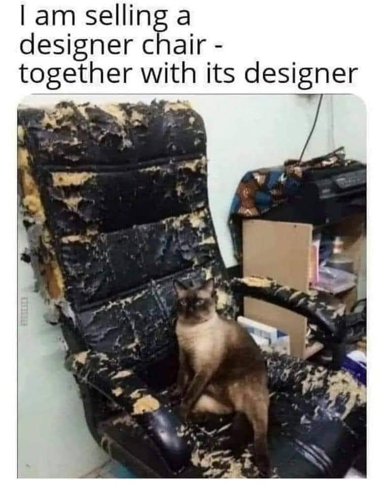 meme keluh kesah memelihara kucing