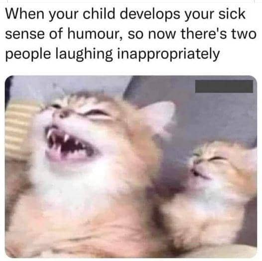 meme kucing tentang anak