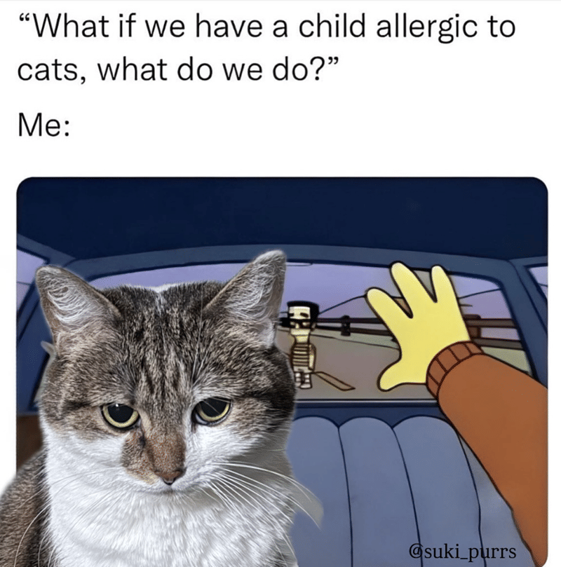 meme kucing tentang anak