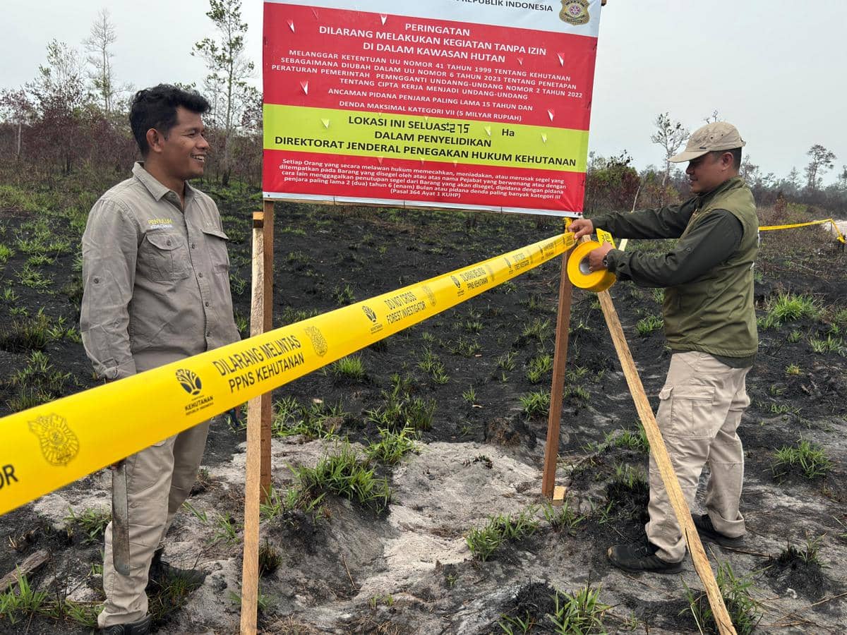 9 Perusahaan di Kalbar Kena Sanksi Kementerian Kehutanan soal Karhutla