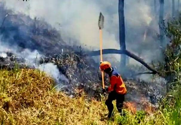 Petugas BPBD Kota Batu melakukan penanganan kebakaran hutan dan lahan di Gunung Arjuno, wilayah Kota Batu.