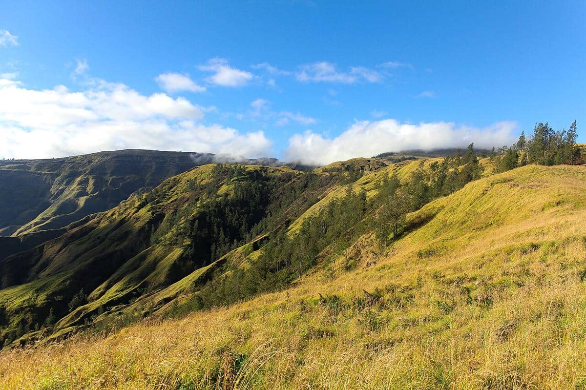 Lanskap Gunung Tambora